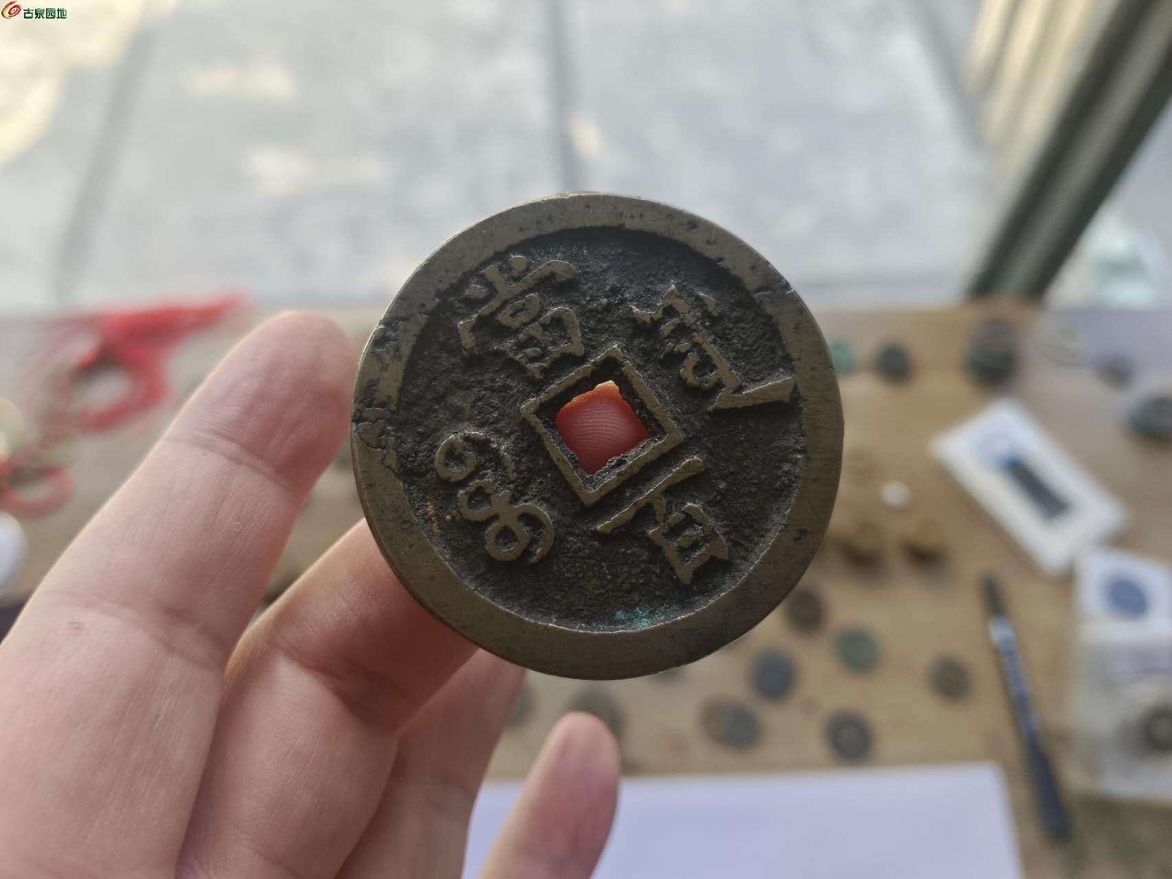 95946.jpg