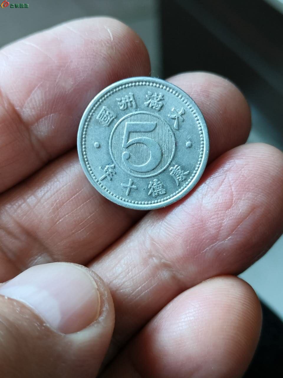 56935.jpg