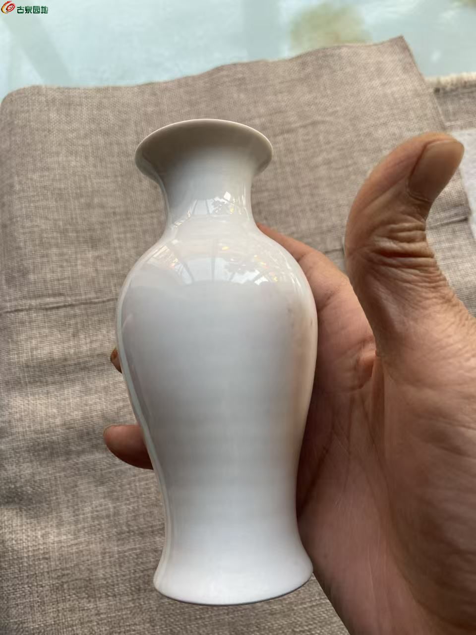 微信图片_20260406175000_979_40.jpg
