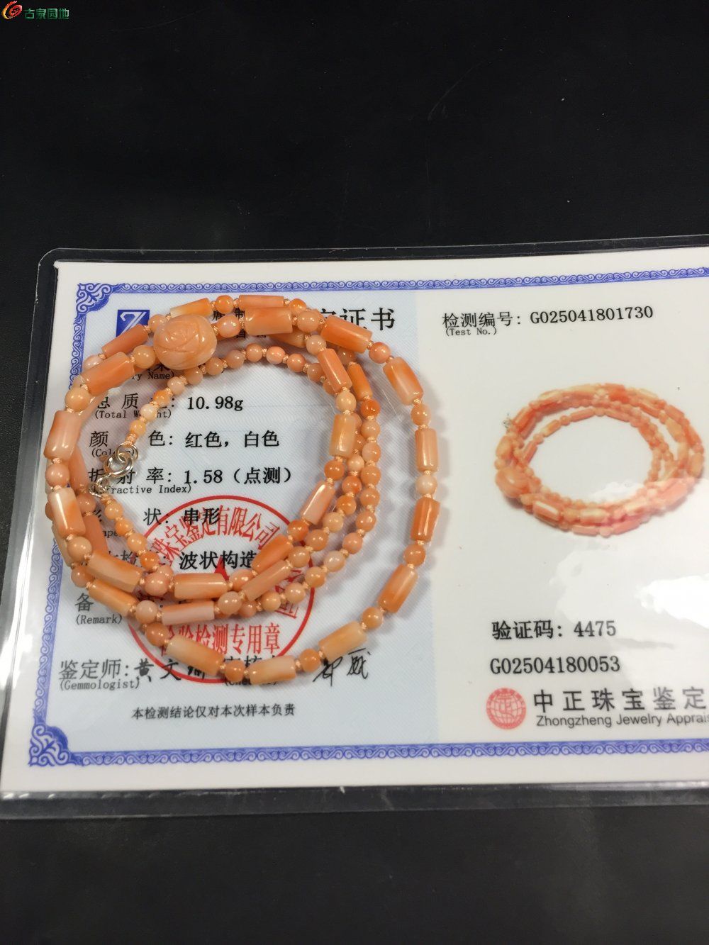 天然的 海鲜 项链7.jpg
