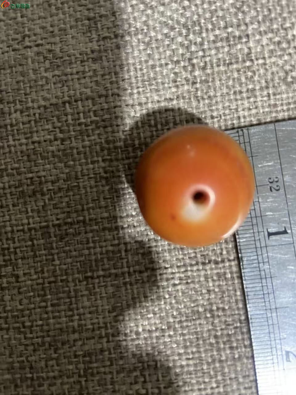 微信图片_20260409194522_355_3.jpg