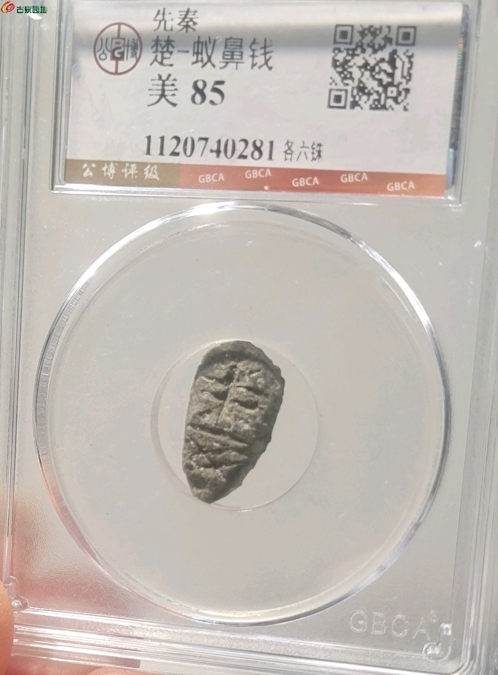 1775789130462.xfile.jpg