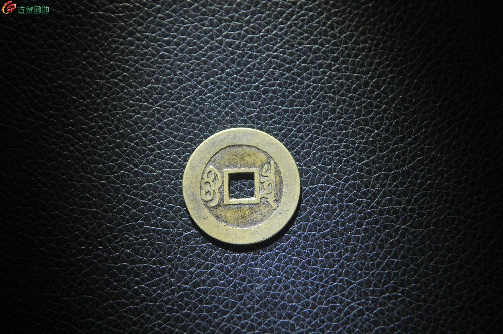DSC_9112.JPG