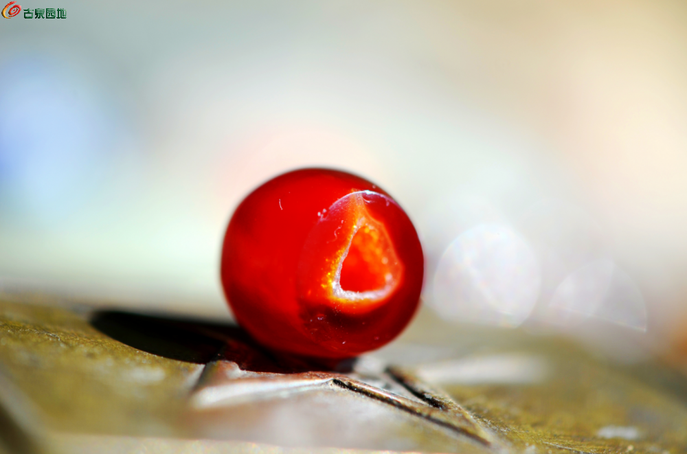 bb868f4b6028a9d36a6329fcdde47731.png