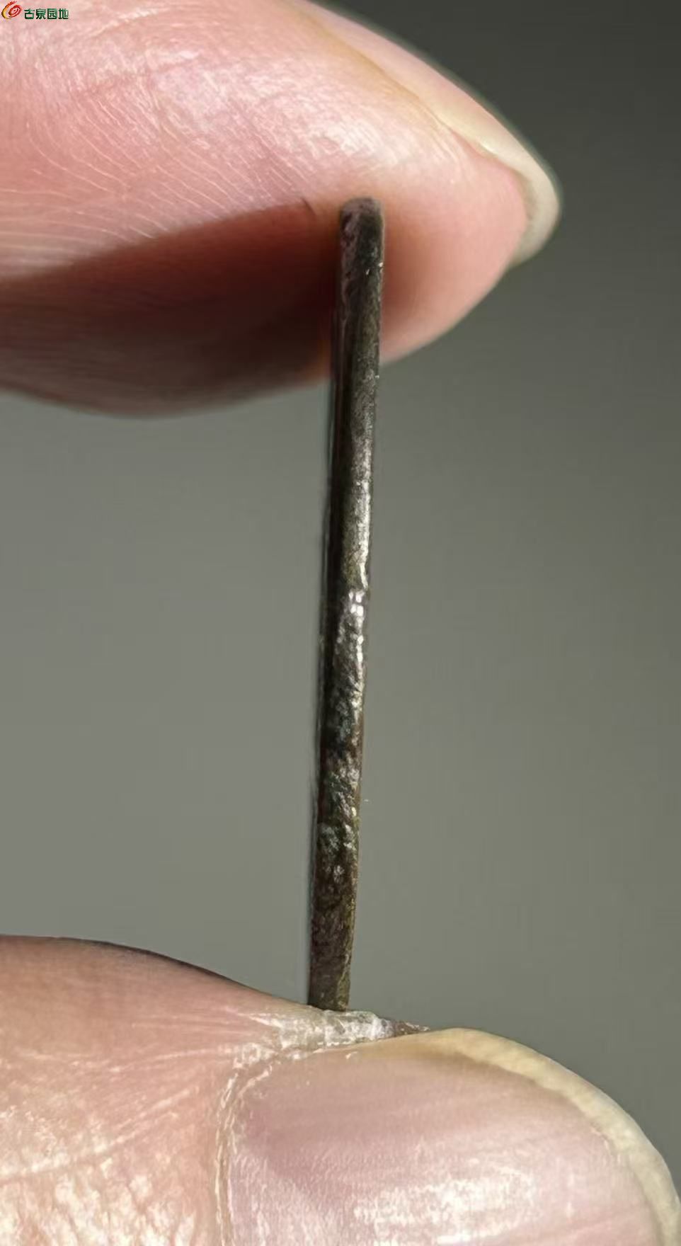 FA6C9144-84C9-4927-B75C-947C3733878A.jpe