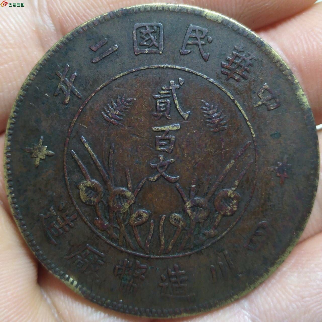19254.jpg
