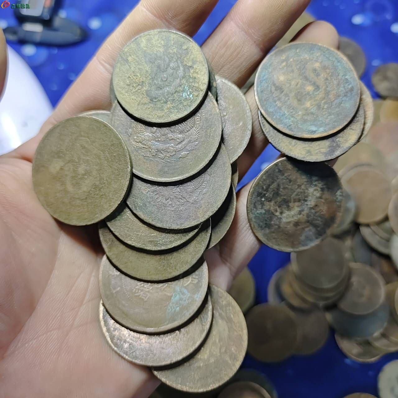 58699.jpg