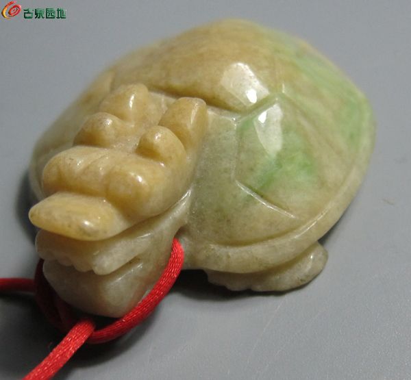 长寿龟3.jpg