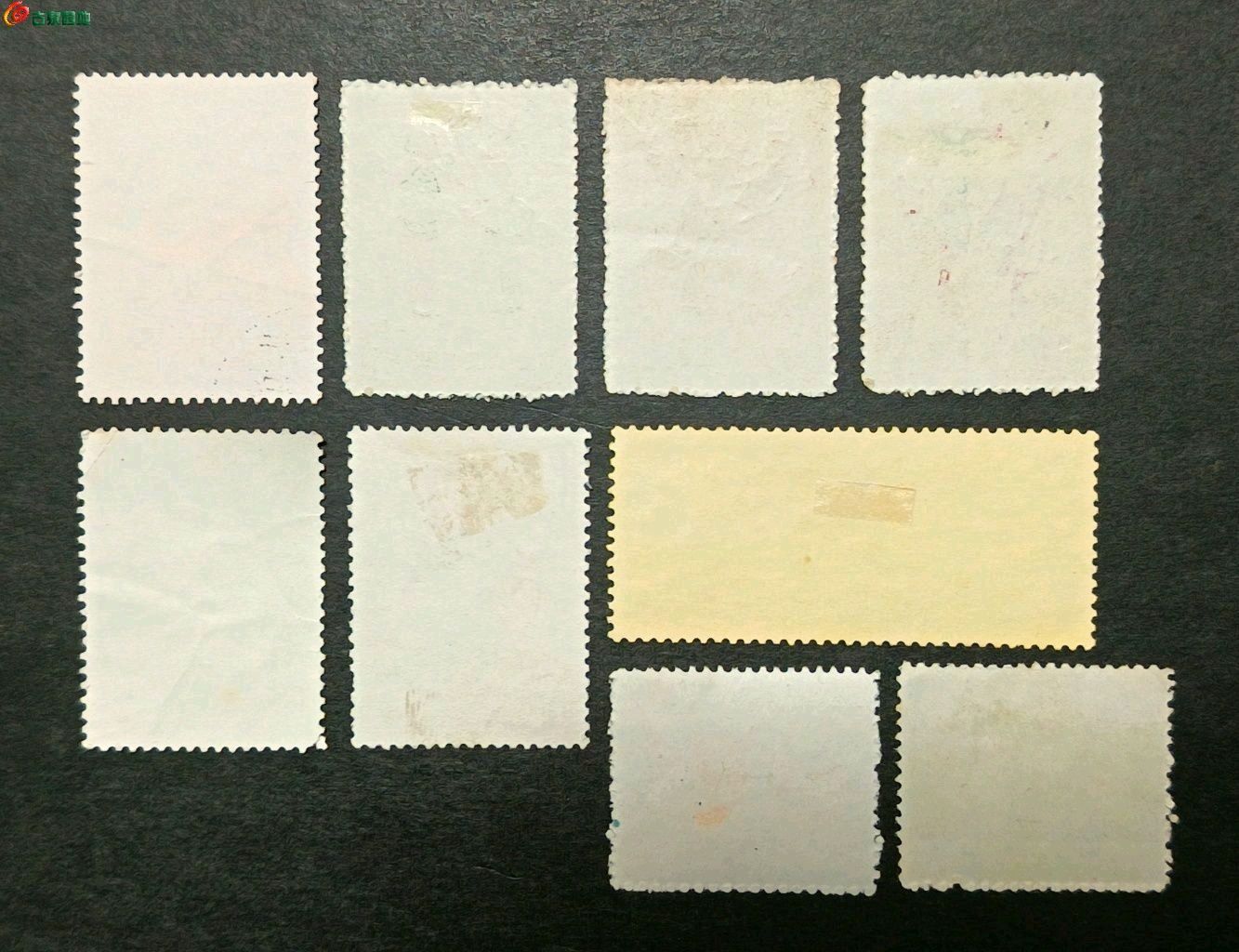 1773224589596.xfile.jpg