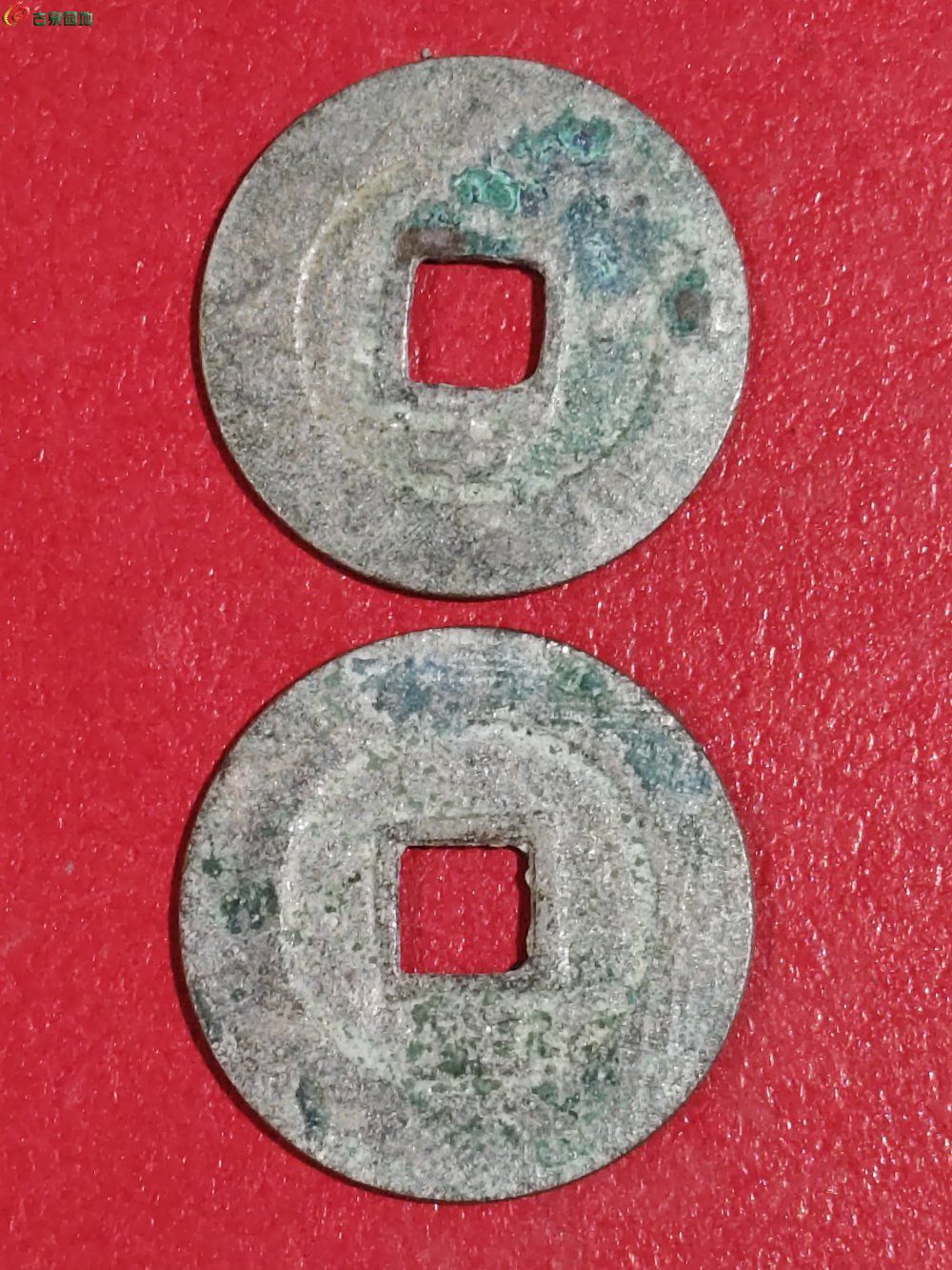 1773290171180.jpg