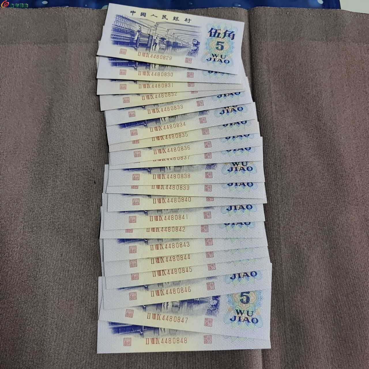 51129.jpg