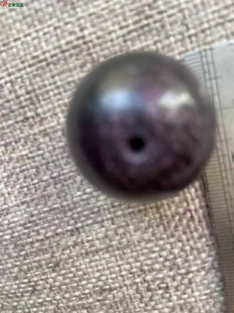 微信图片_20260315095227_2558_3.jpg