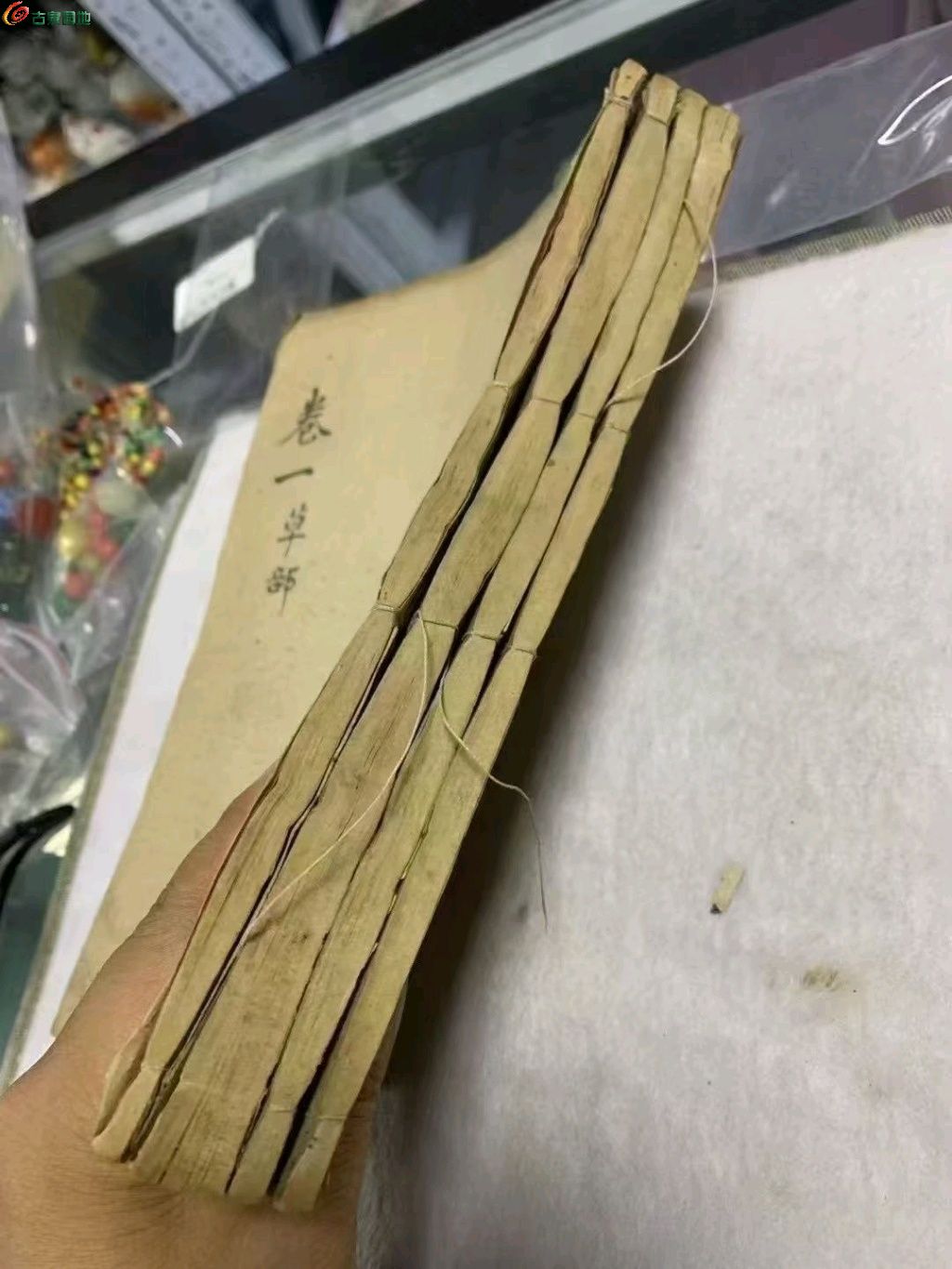 1773871969686.xfile.jpg