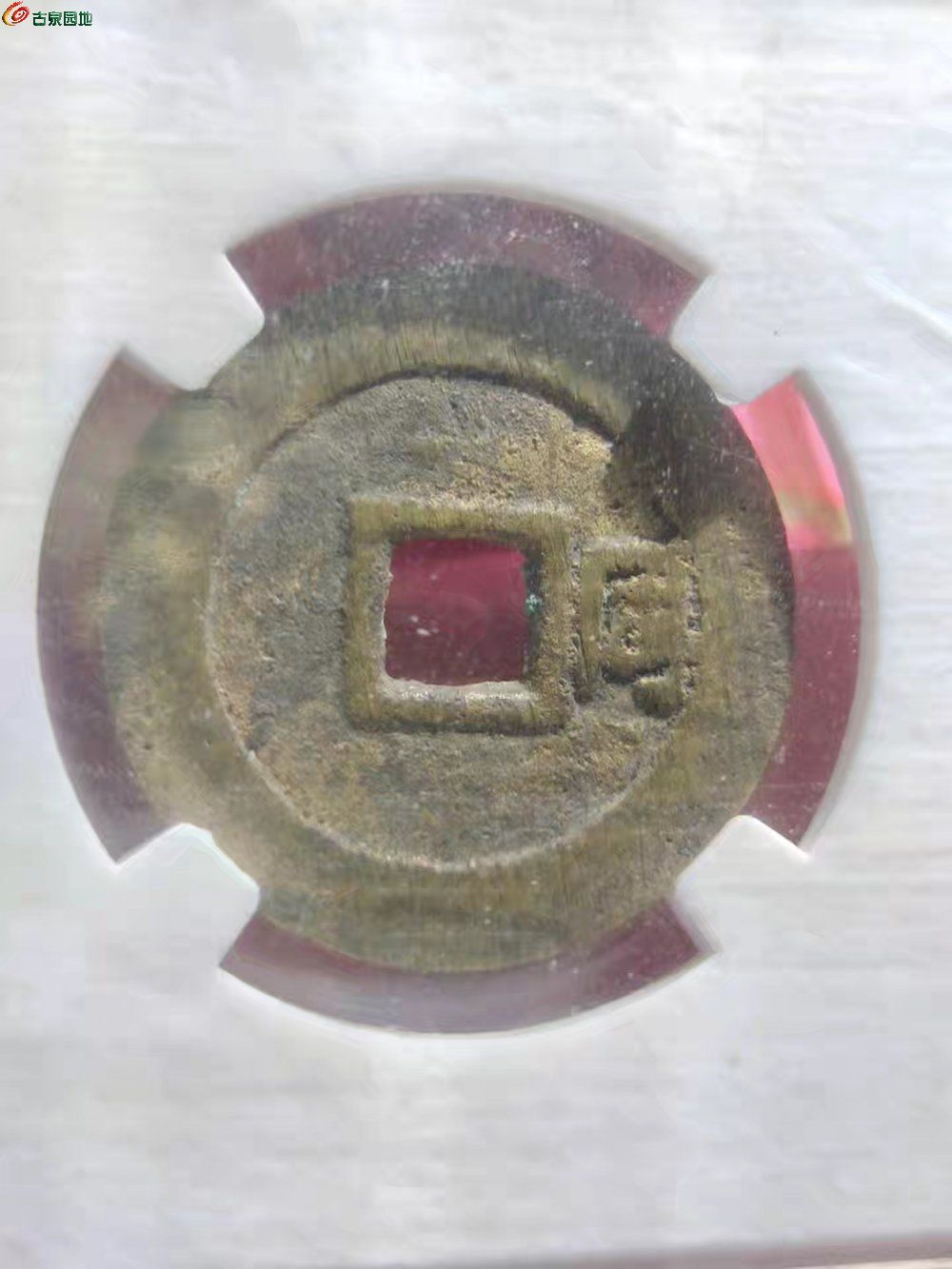 26010.jpg