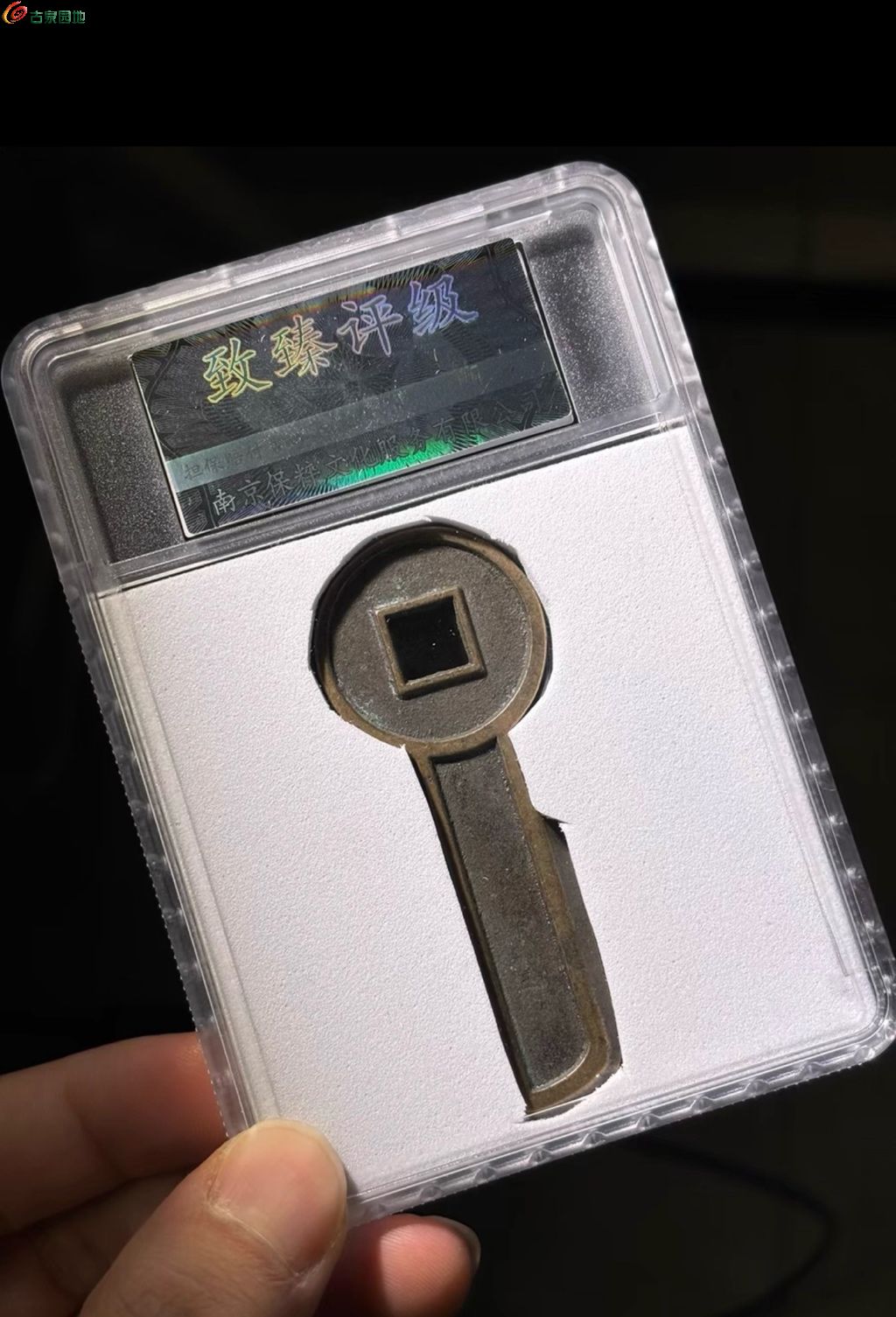1774272732110.xfile.jpg