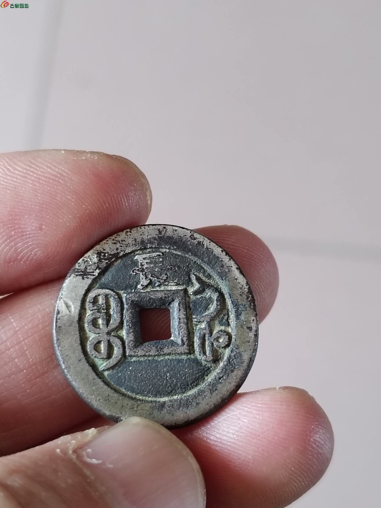 66621.jpg