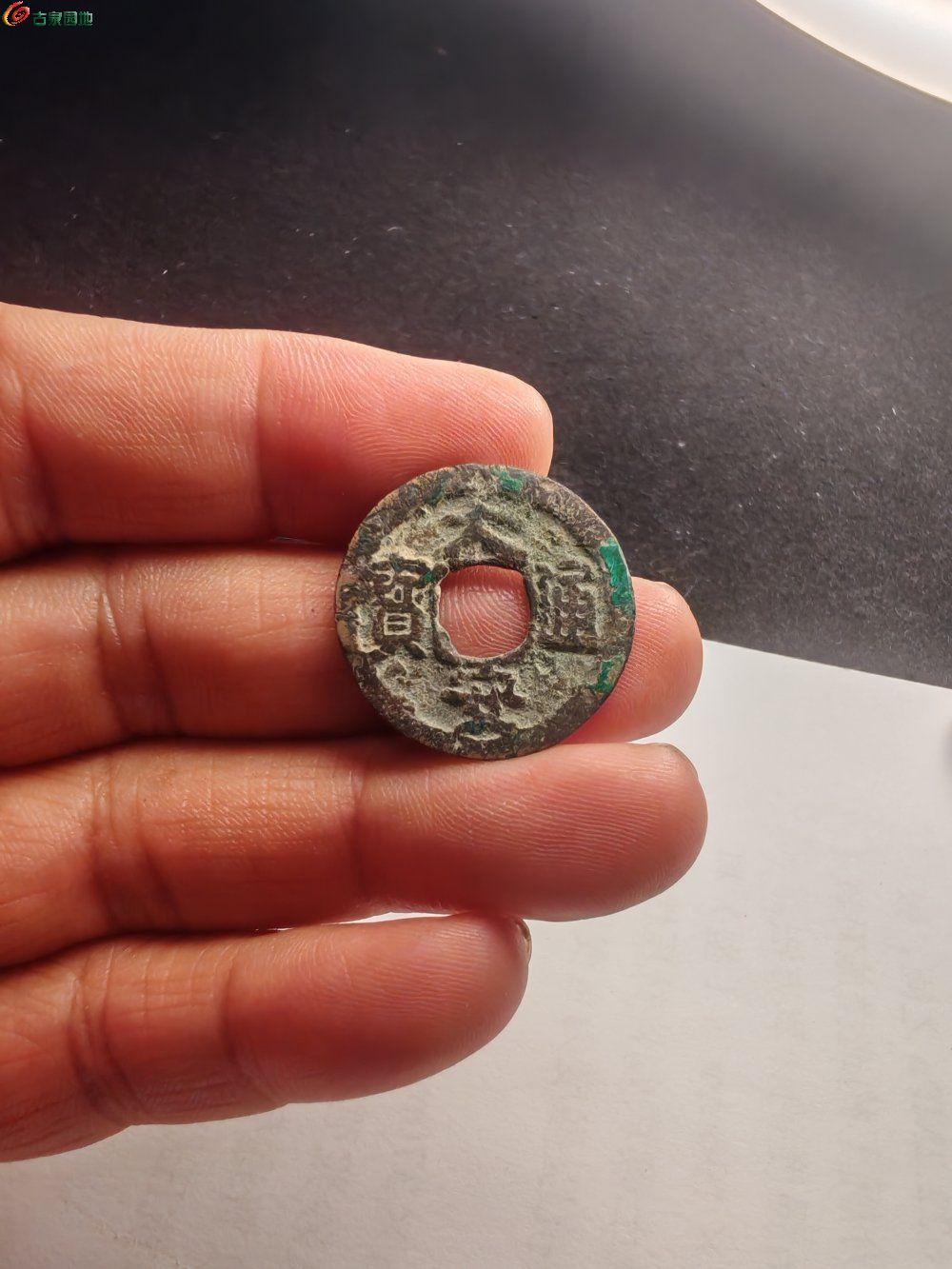 IMG_20260328_191620.jpg