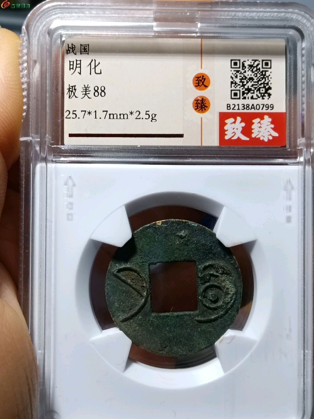 1774792186158.xfile.jpg