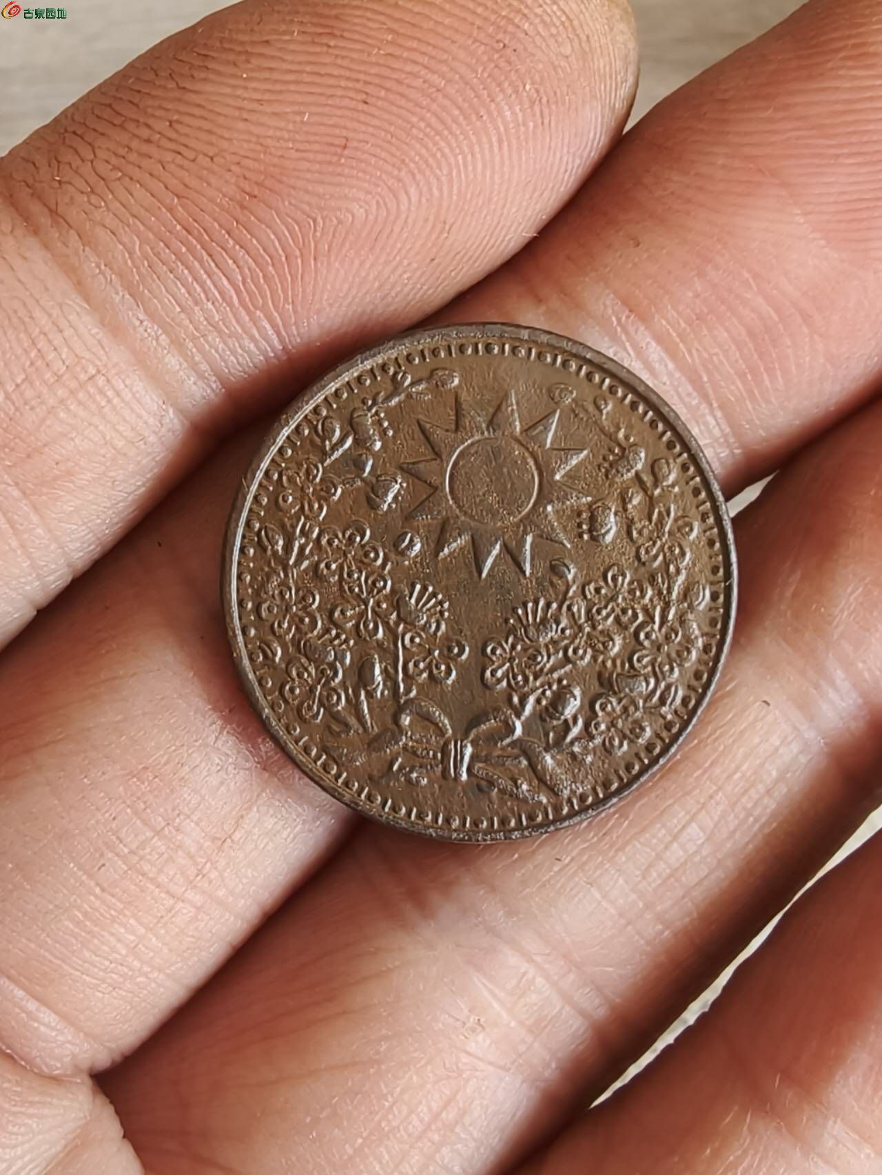 58610.jpg