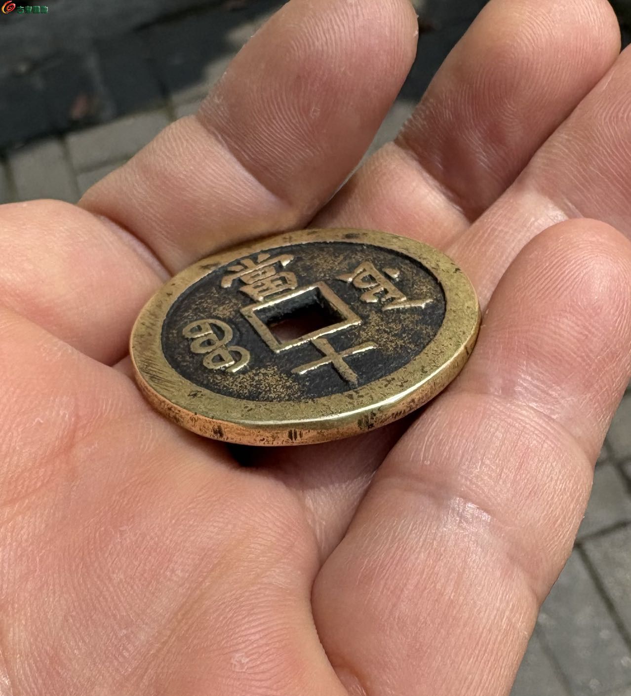 49835.jpg