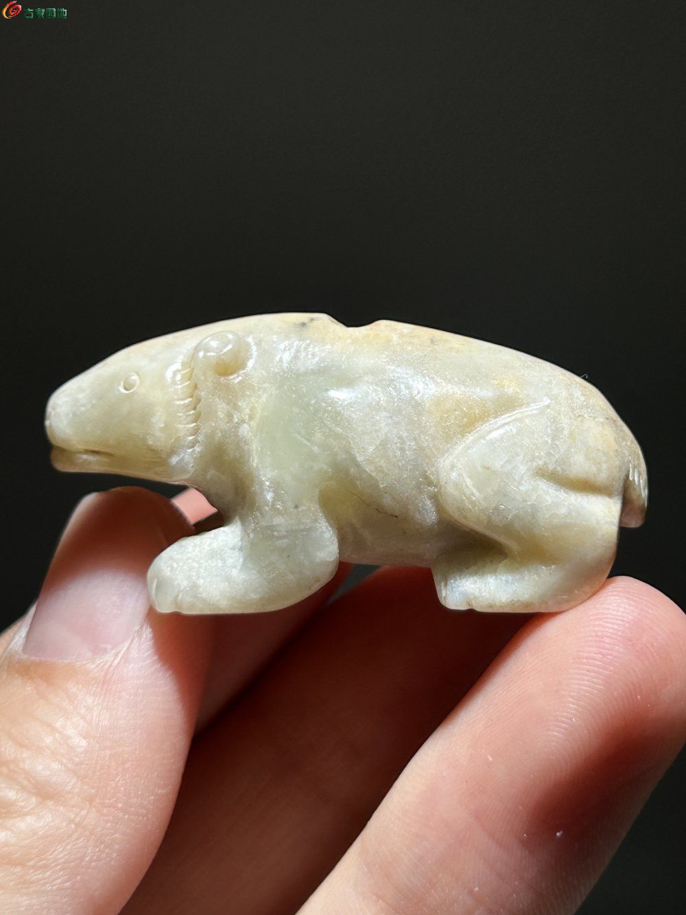 珍藏玉玉熊1.jpg