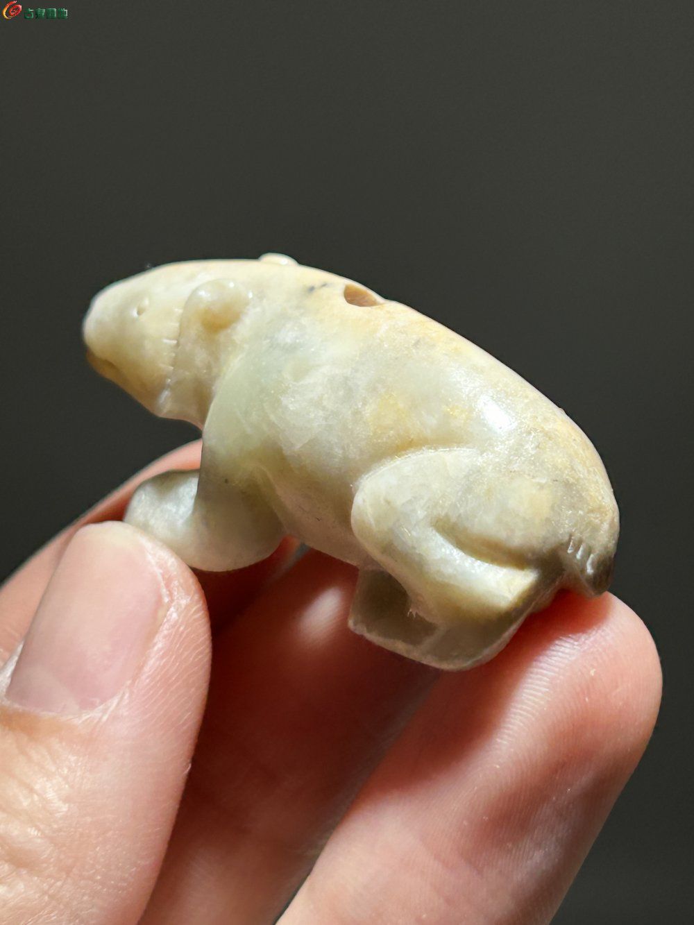 珍藏玉玉熊5.jpg