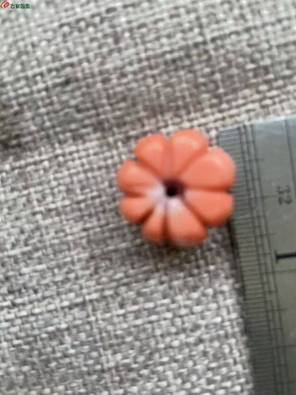 微信图片_20260407062531_1023_40.jpg