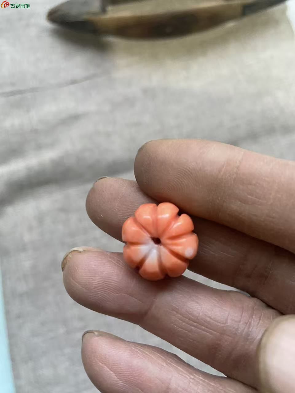 微信图片_20260407062534_1026_40.jpg