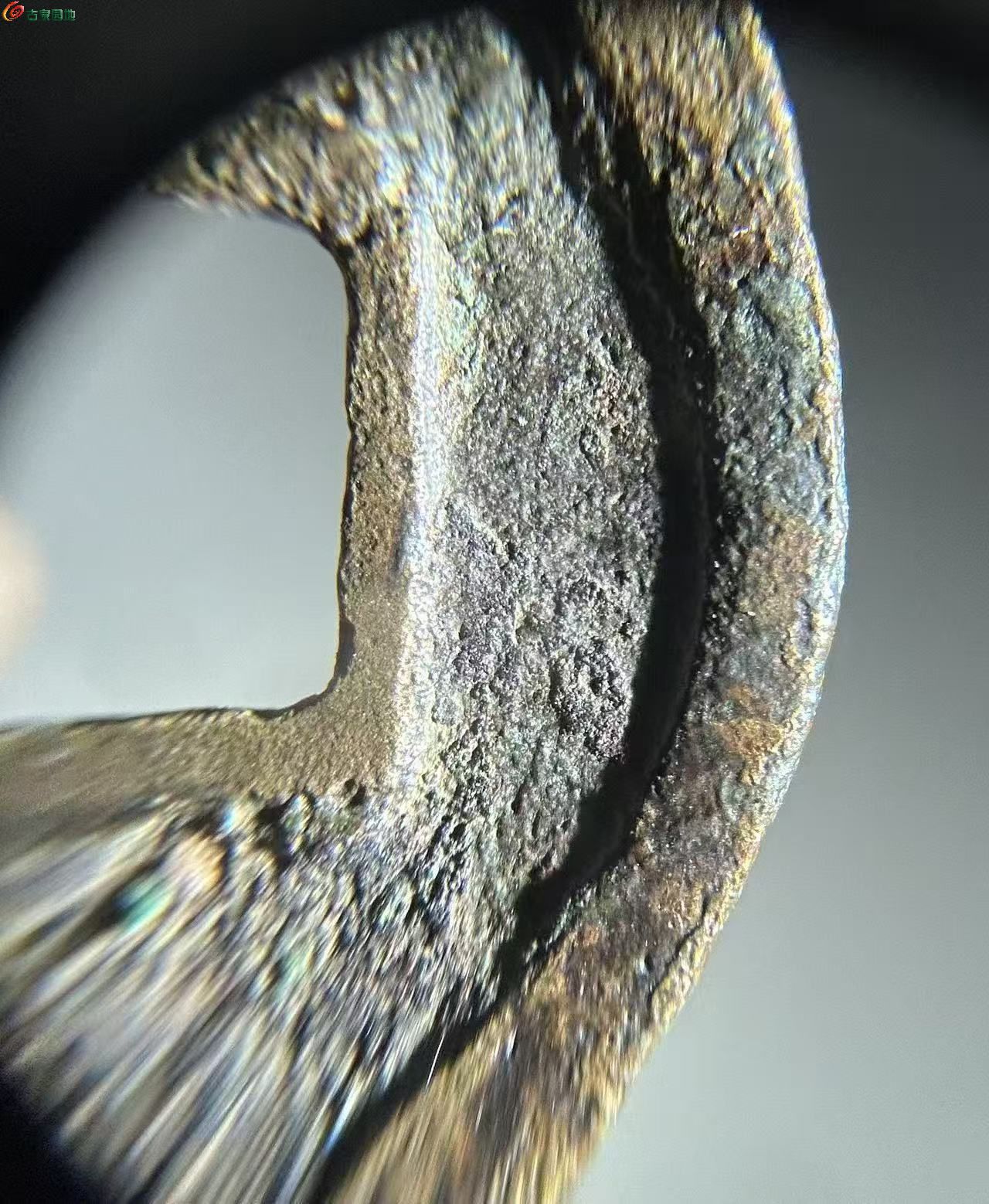 D369138A-96E6-44ED-8EE6-054212E2C361.jpe