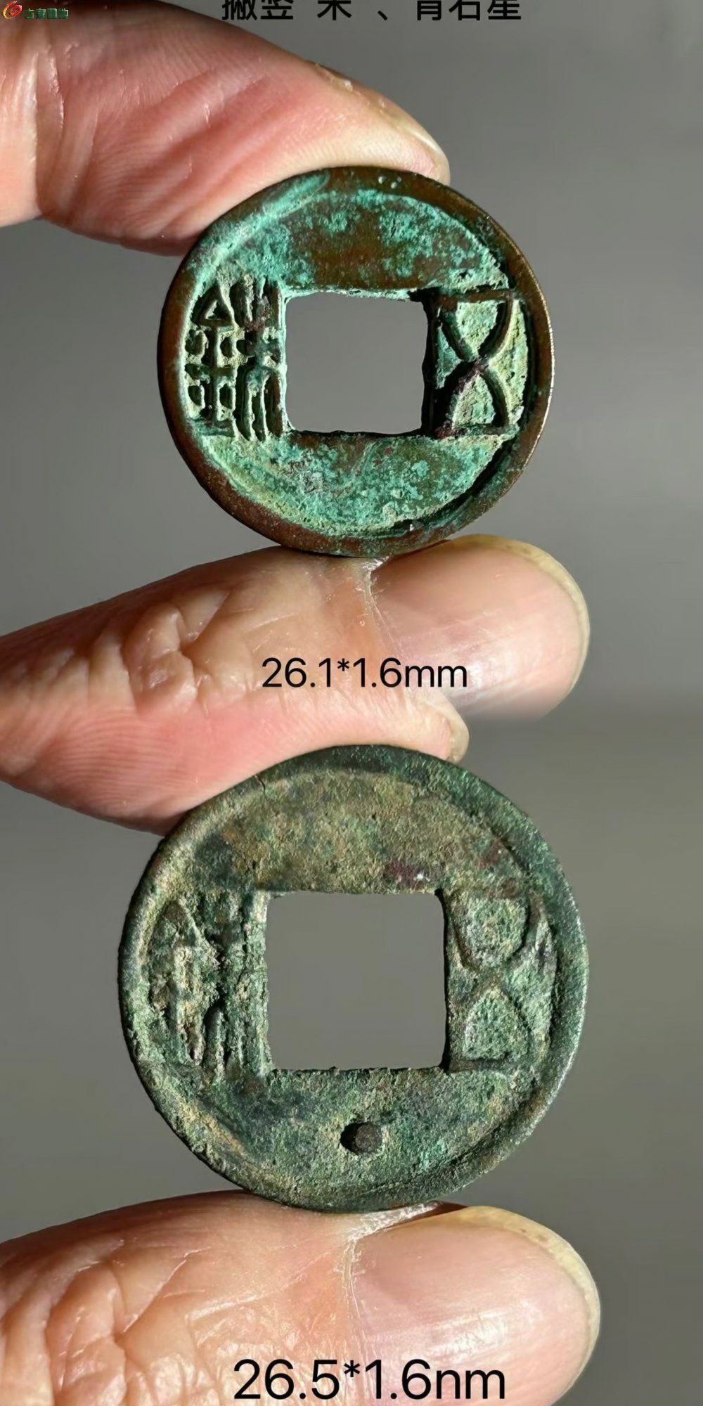 B74AB143-034F-4534-999B-DA74561C8DEB.jpe