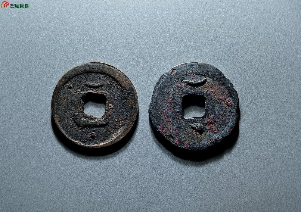 IMG_20260210_162906_edit_309987737353013