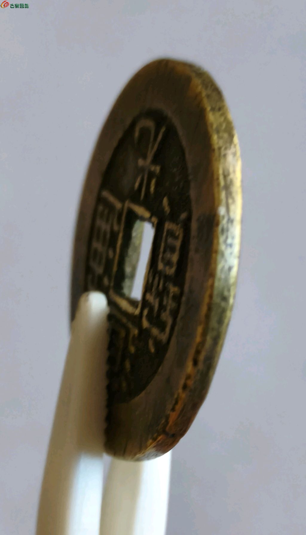 1773106239812.xfile.jpg