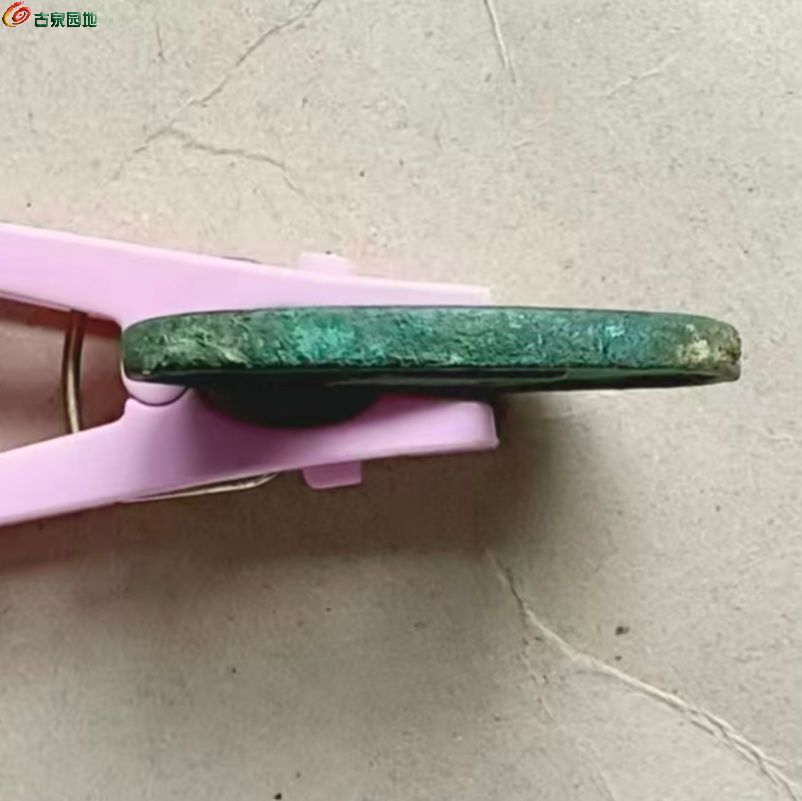 微信图片_20260225114724_1793_60_副本.jpg