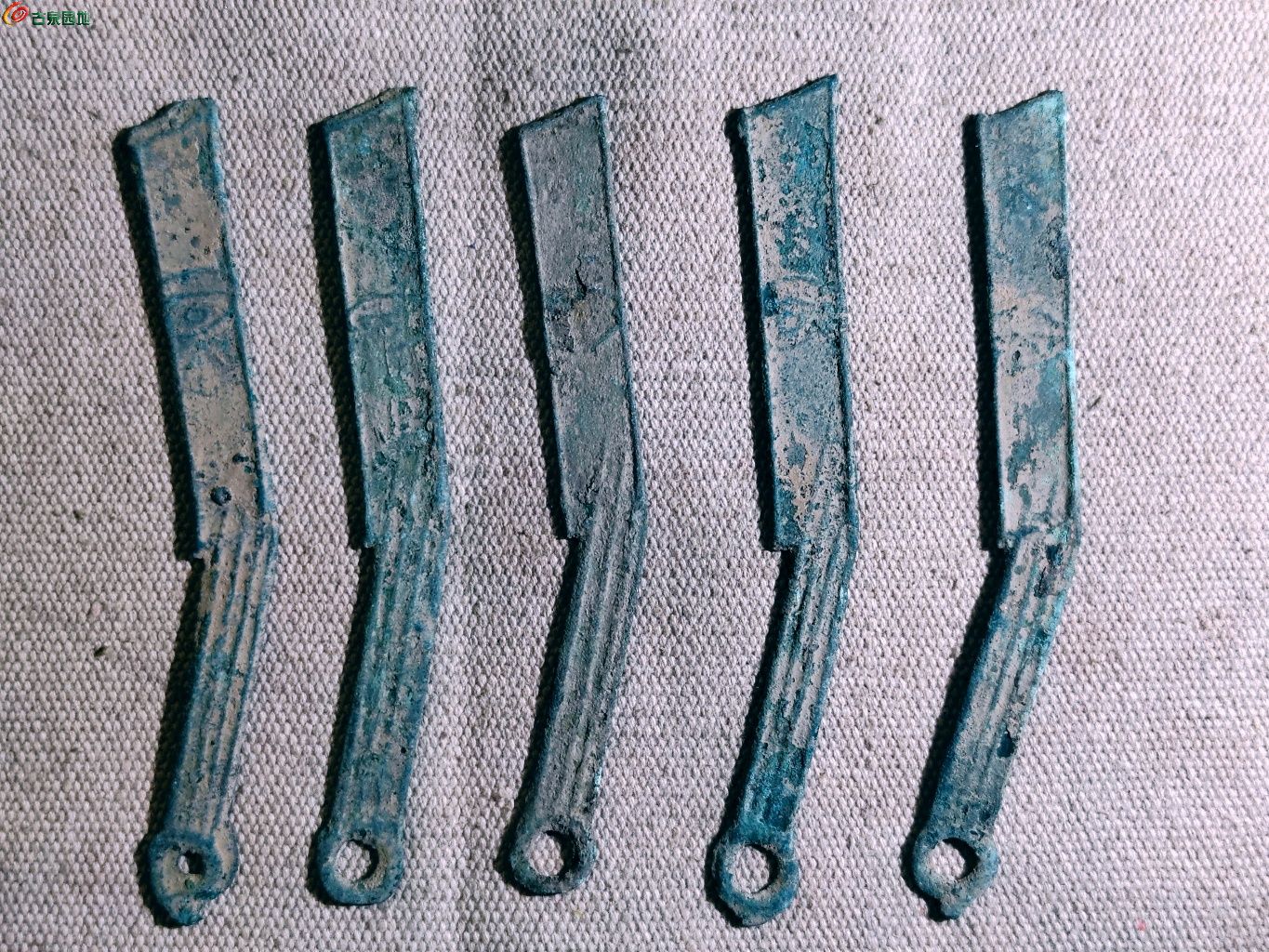 1773113491201.xfile.jpg