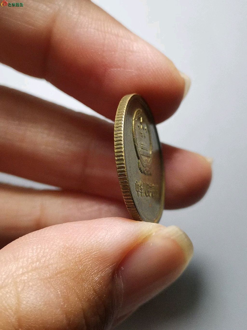 1773409229137.xfile.jpg