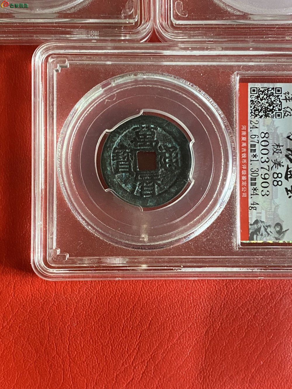 16683.jpg