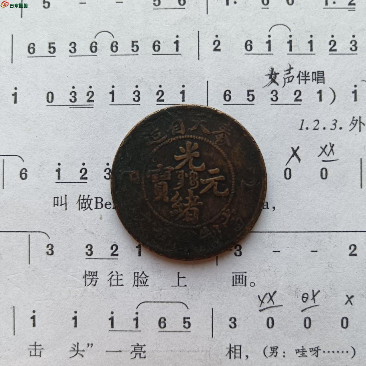 46150.jpg