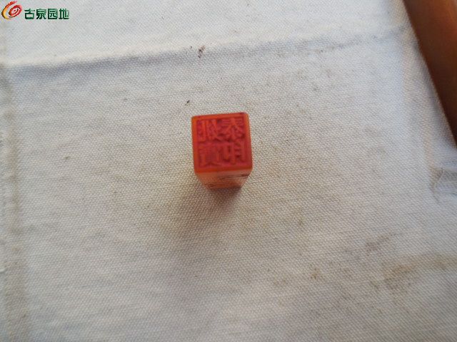 DSCN1773.JPG