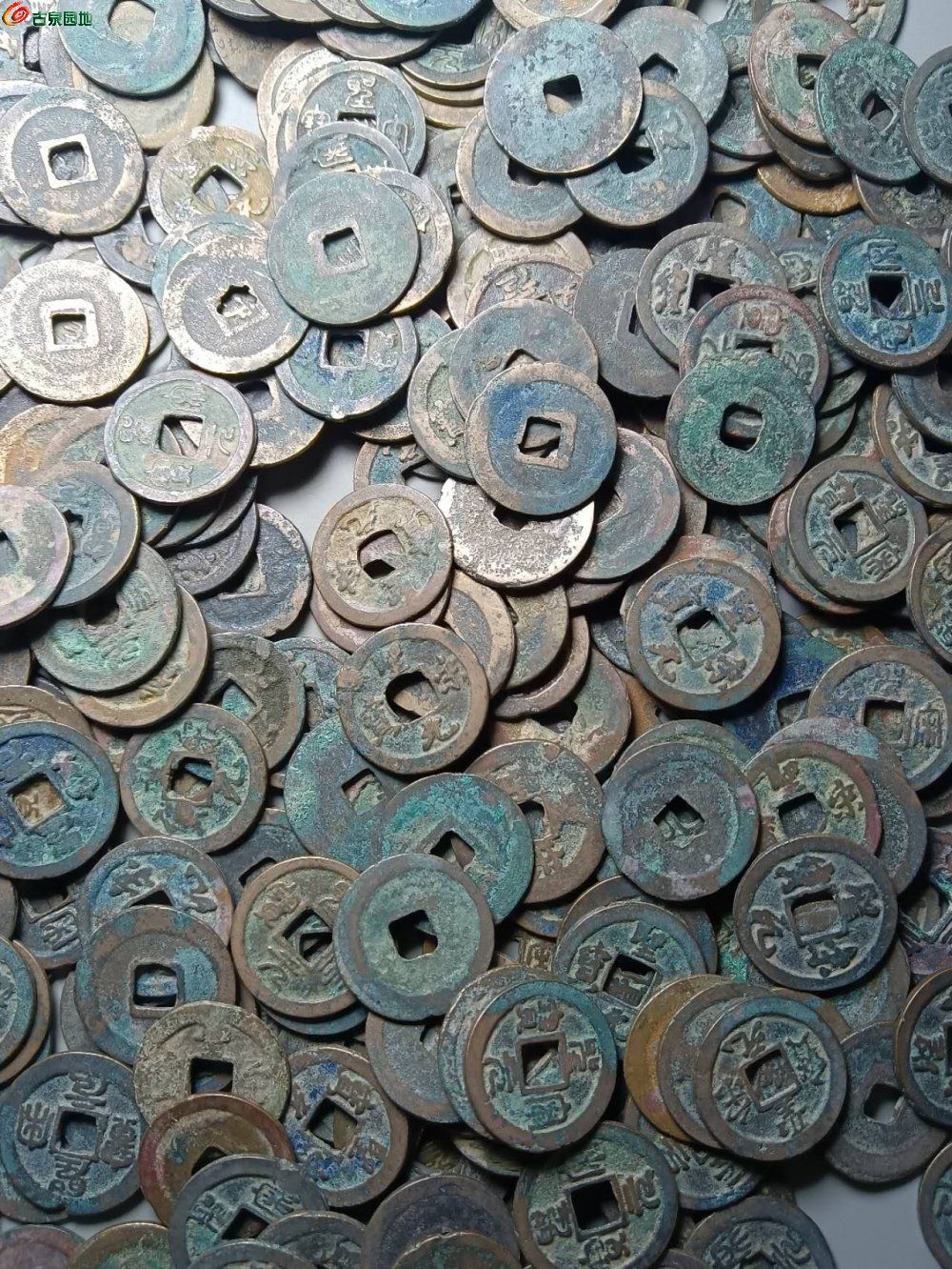 12488.jpg