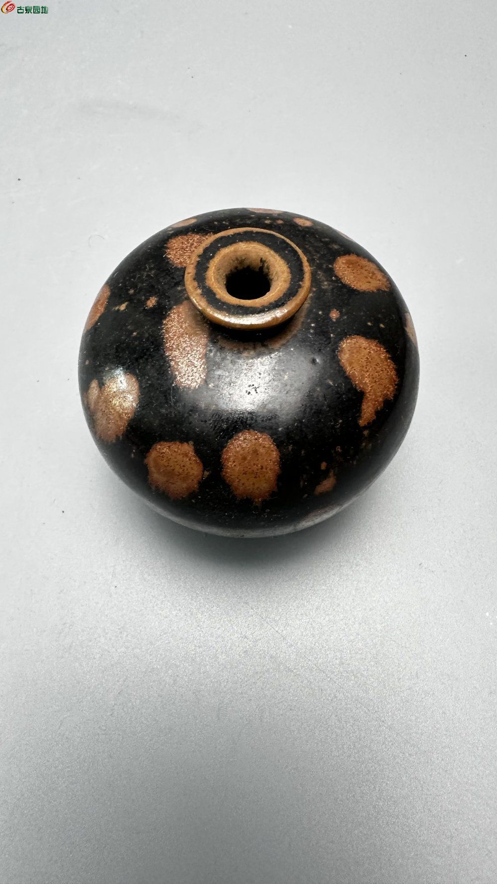 耀州窑铁锈花嘟噜瓶5.jpg