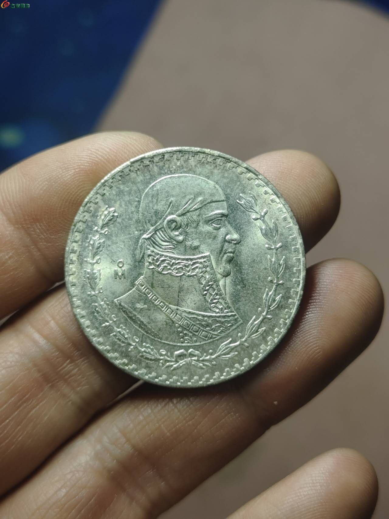 19964.jpg