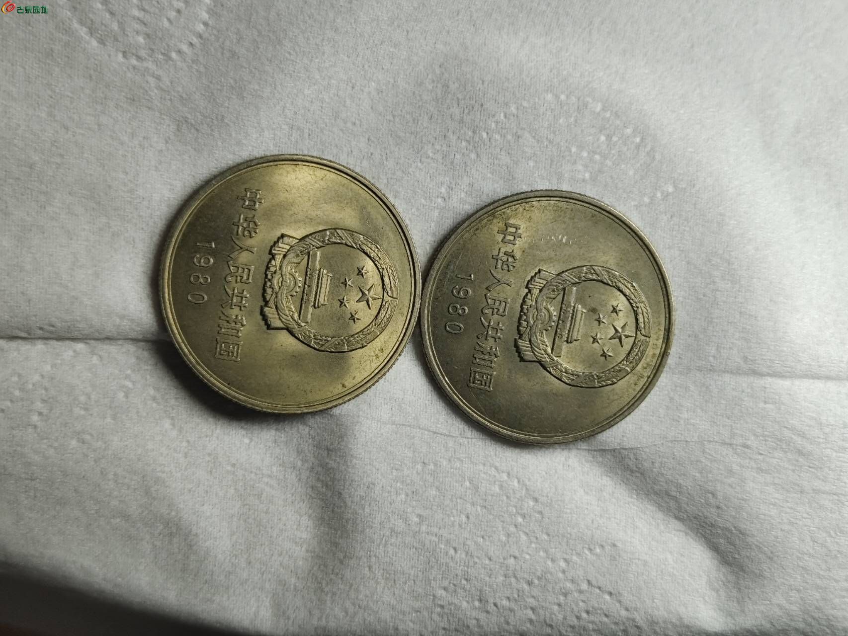 71189.jpg