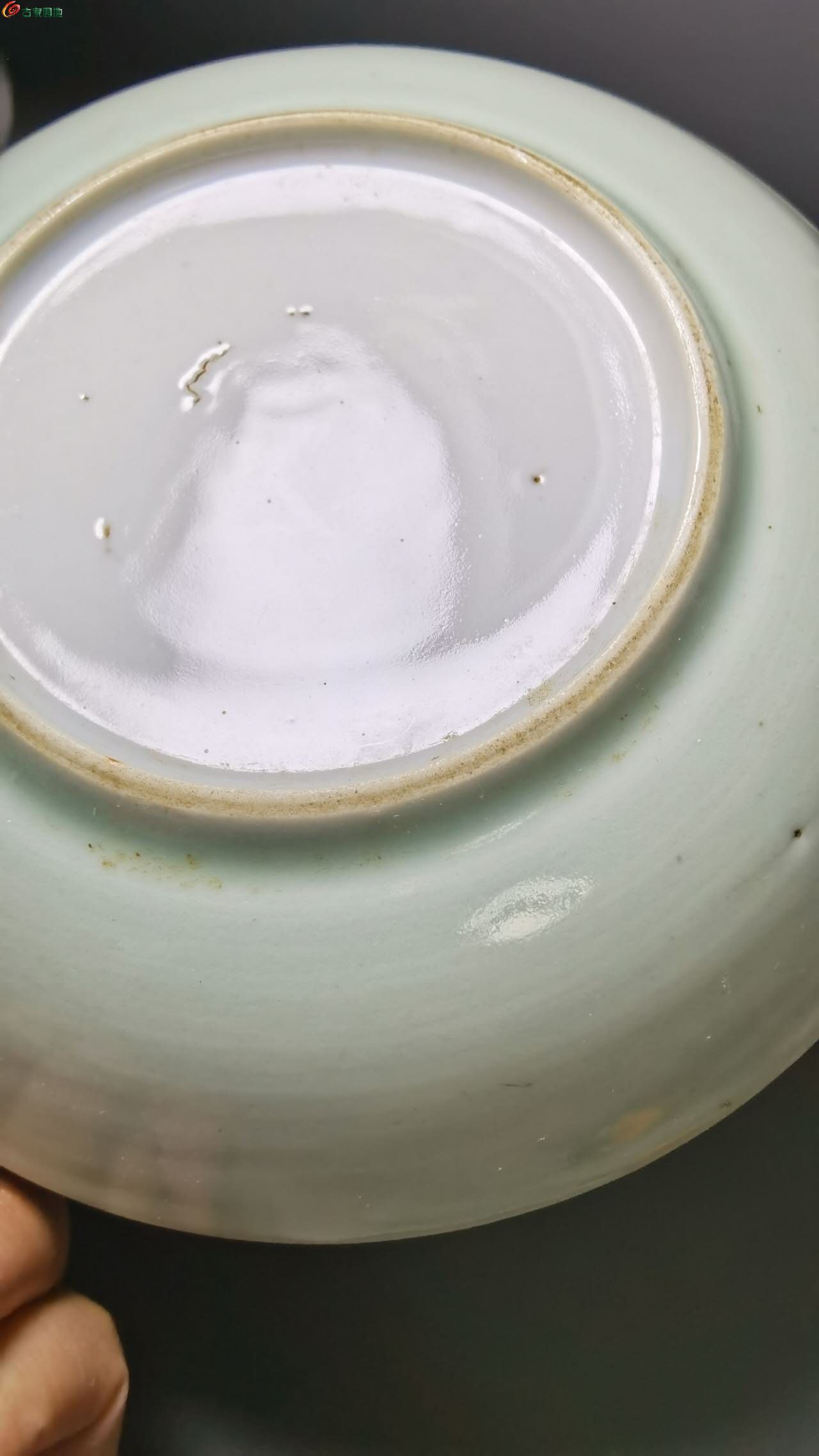 67681.jpg