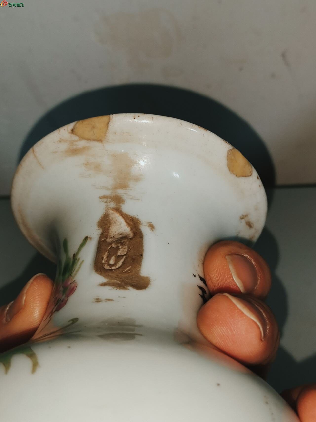 96674.jpg