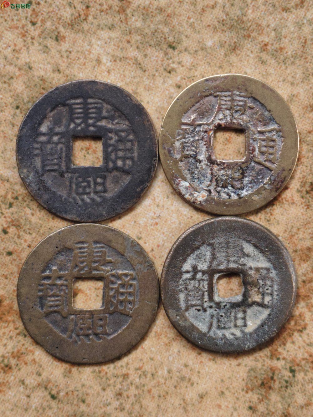1774837165248.jpg