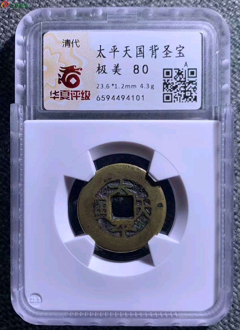 1775139459089.xfile.jpg