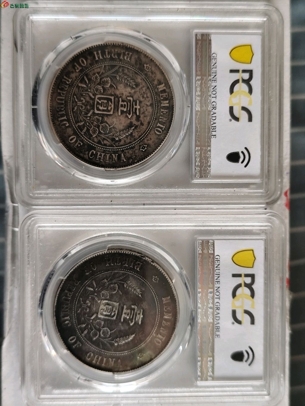 1775187371953.xfile.jpg