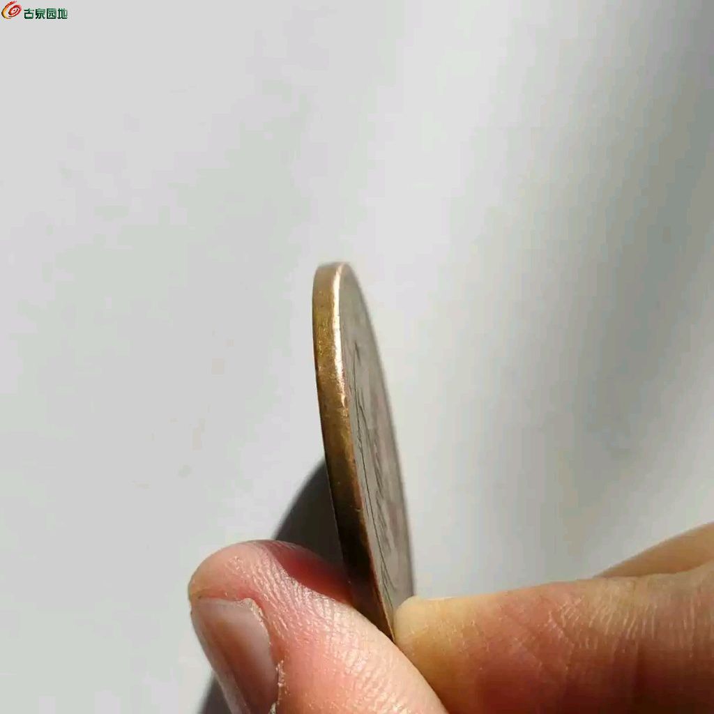 1775224907566.xfile.jpg