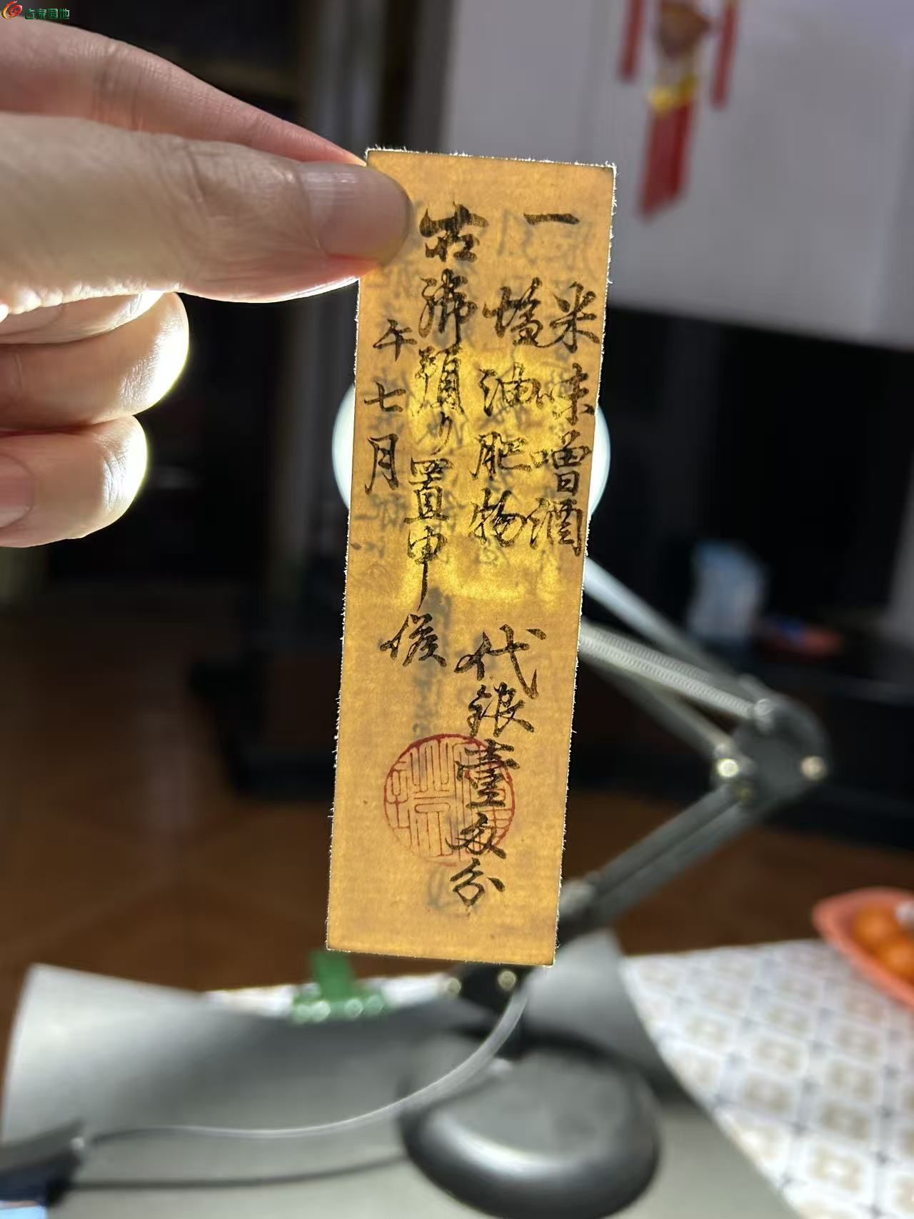 84827C74-B3ED-46C9-9826-561D06C4231A.jpe