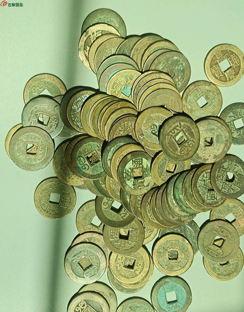 1775365408212.xfile.jpg